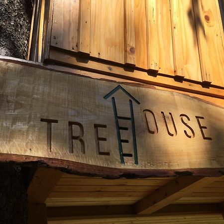 Tree House Alpinka Krvavec Vila Cerklje na Gorenjskem Exterior foto