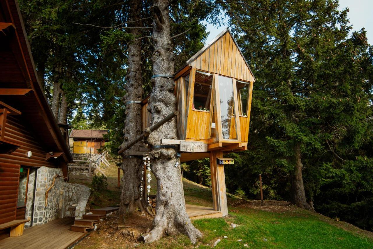 Tree House Alpinka Krvavec Vila Cerklje na Gorenjskem Exterior foto